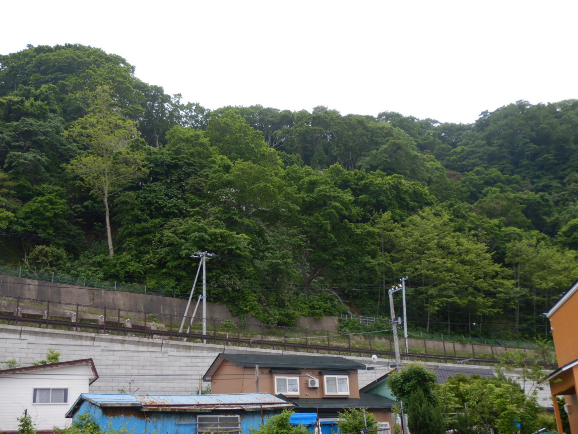恵風登口緊急予防治山工事